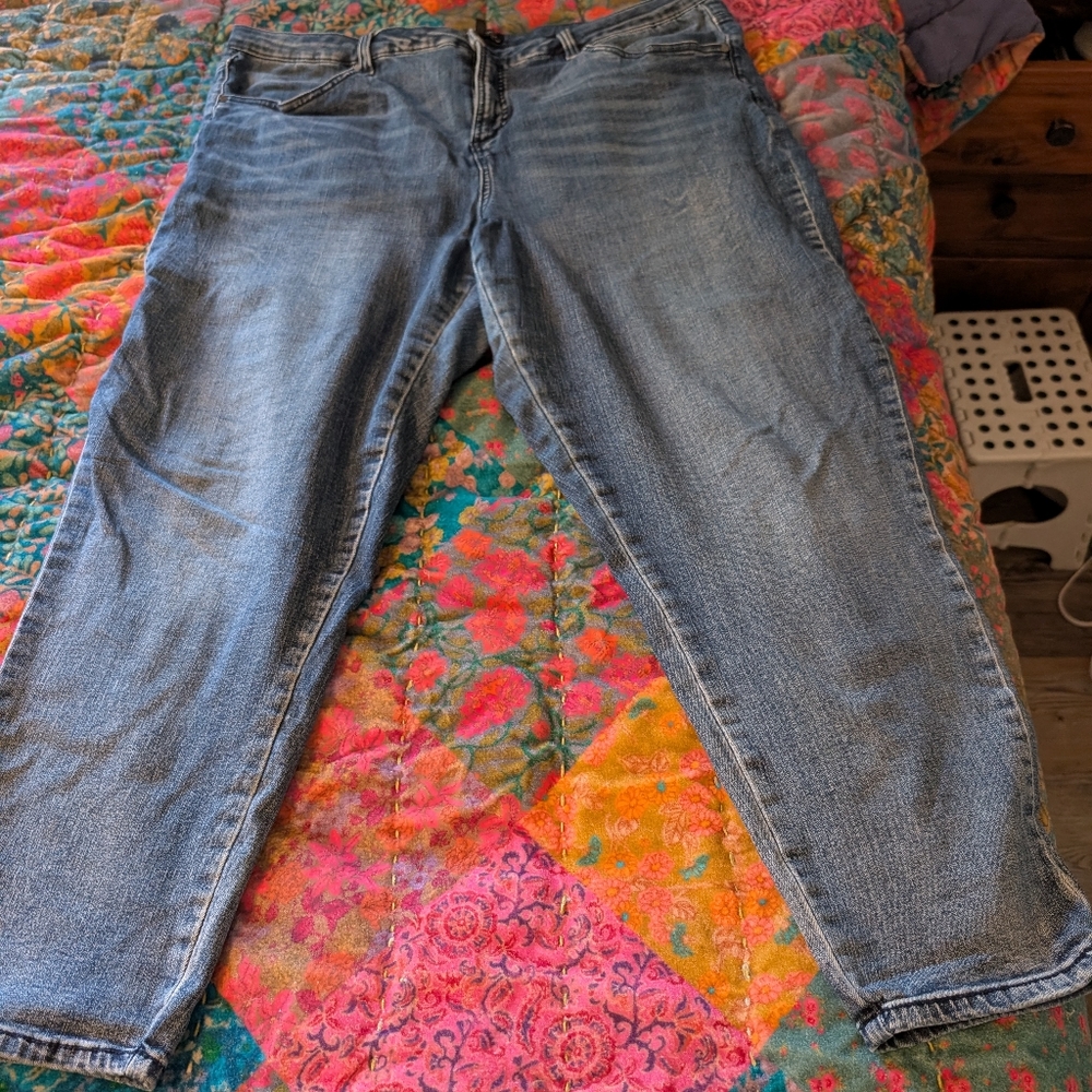 Universal Standard Light Blue seine skinny jean sz 20